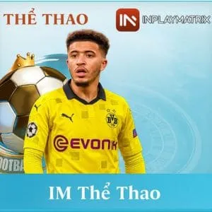 im thể thao 1 